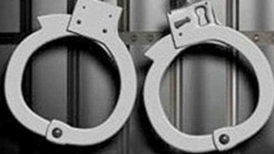The arrested persons were identified by their first names -- Johnny alias Shiva, the key suspect, his cousin Naresh, Kailash and Tarun.(HT Archives. Representative image)