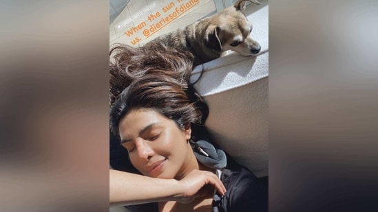Priyanka Chopra soaking up the sun with her pet pooch Diana.