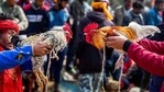 Cockfights are banned but still common in rural areas of Telangana, Andhra Pradesh, Karnataka and Odisha states (AP Photo/Anupam Nath)(AP) Cockfights are banned but still common in rural areas of Telangana, Andhra Pradesh, Karnataka and Odisha states (AP Photo/Anupam Nath)(AP)