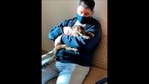 The image shows Brandy, a brown tabby cat, which was reunited with her owner, Charles, after she went astray for 15 years.(AP) The image shows Brandy, a brown tabby cat, which was reunited with her owner, Charles, after she went astray for 15 years.(AP)