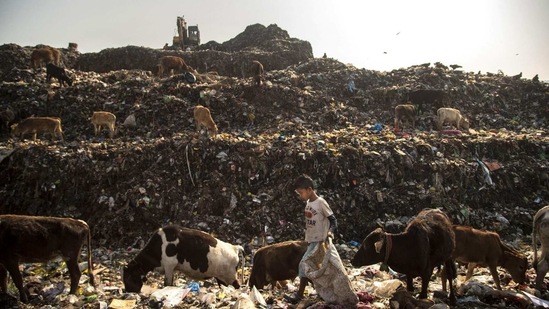 Imradul Ali, 10, looks for recyclable material at a landfill on the outskirts of Guwahati, India, Thursday, Feb. 4, 2021. (AP)