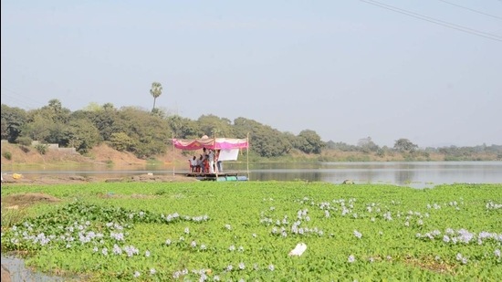 Thane guardian minister Eknath Shinde assured to come up with an effective solution with the help of experts and solve the issue of green weeds growing in the river. (Rishikesh Choudhary/HT photo)