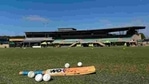 Cricket generic image(Getty) Cricket generic image(Getty)