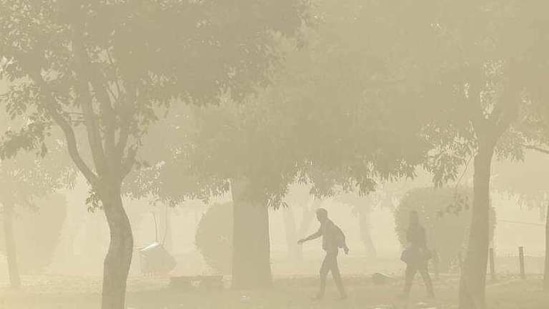 In our intensely polluted, heart-and-lung-disease causing air, large swathes of Indians qualify as potential victims.(Arvind Yadav/HT file photo) In our intensely polluted, heart-and-lung-disease causing air, large swathes of Indians qualify as potential victims.(Arvind Yadav/HT file photo)