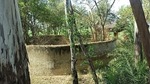 Mostly made of limestone and bricks, now surrounded by wild growth, remnants of these structures can be found near Dangri river in Ambala’s Bora Khera village on the Roorkee highway besides in Handesra and Sarangpur villages in Punjab. (HT Photo) Mostly made of limestone and bricks, now surrounded by wild growth, remnants of these structures can be found near Dangri river in Ambala’s Bora Khera village on the Roorkee highway besides in Handesra and Sarangpur villages in Punjab. (HT Photo)