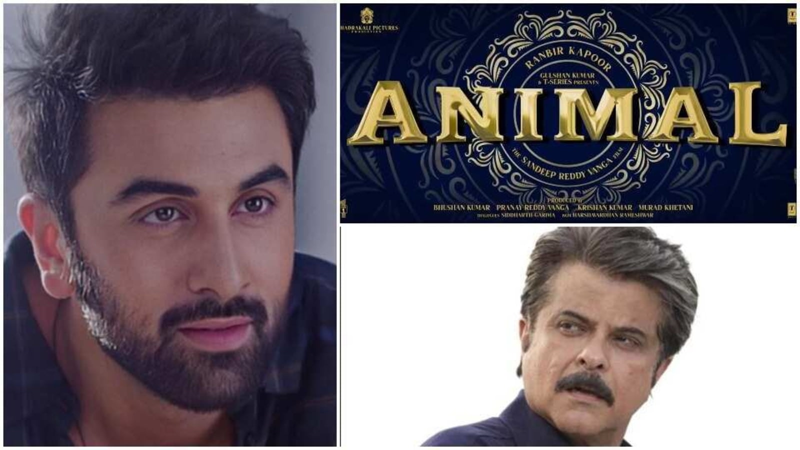 When Ranbir Kapoor said Animal is 'way out of my comfort zone': 'It's quite  a shocking character…