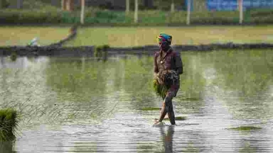 In 2019-20, ground-level credit flow to the agriculture sector reached <span class='webrupee'>₹</span>13.68 lakh crore, 8.8% above the previous year, according to data from Nabard. In 2019-20, ground-level credit flow to the agriculture sector reached <span class='webrupee'>₹</span>13.68 lakh crore, 8.8% above the previous year, according to data from Nabard.