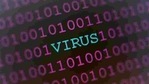 Further investigations are needed to find out in which country the virus attack originated, said the minister.(AFP File Photo) Further investigations are needed to find out in which country the virus attack originated, said the minister.(AFP File Photo)