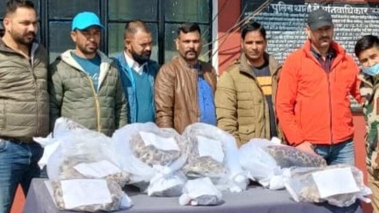 Police with the man from whom they recovered six leopard skins. (HT Photo) Police with the man from whom they recovered six leopard skins. (HT Photo)