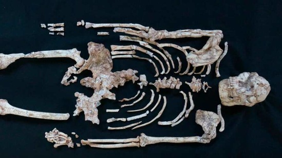 The skeleton of Little Foot is seen in Sterkfontein, South Africa, in this undated handout photo, obtained by Reuters on March 1, 2021.(Reuters)