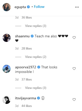 Comments on the post (Instagram/egupta)