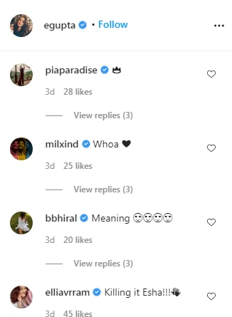 Comments on the post (Instagram/egupta)