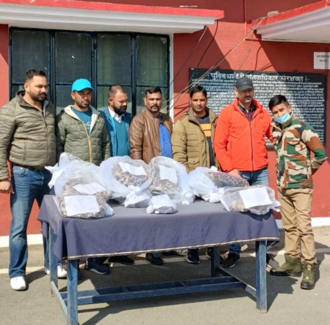 Police with the man from whom they recovered six leopard skins. (HT Photo) Police with the man from whom they recovered six leopard skins. (HT Photo)