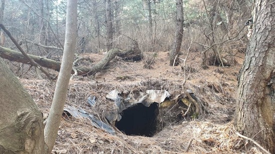 The hideout location in a forest in Awantipora. (ANI Photo )