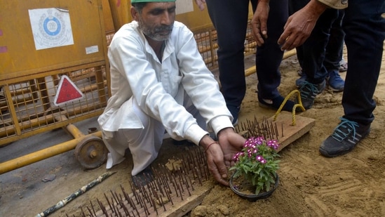 Farmers sow flowers next to iron nails placed by Delhi Police at Ghazipur (Delhi-UP border) during the ongoing protest against the new farm laws, near Ghaziabad(Sakib Ali/HT Photos) Farmers sow flowers next to iron nails placed by Delhi Police at Ghazipur (Delhi-UP border) during the ongoing protest against the new farm laws, near Ghaziabad(Sakib Ali/HT Photos)
