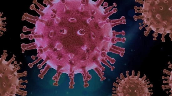 Coronavirus mutations -- some more contagious -- had put a damper on global vaccination programmes after existing shots were found to offer less protection. (Pixabay/Representative Image ) Coronavirus mutations -- some more contagious -- had put a damper on global vaccination programmes after existing shots were found to offer less protection. (Pixabay/Representative Image )