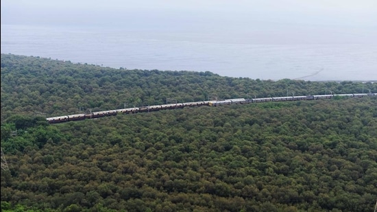 Six of Maharashtra’s seven coastal districts reported an increase in mangrove cover during the study period, with the exception of Palghar. (HT FILE)