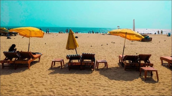 Tourism body urges Goa government to allow chartered flights from 'safe' places(Photo by Sarang Pande on Unsplash) Tourism body urges Goa government to allow chartered flights from 'safe' places(Photo by Sarang Pande on Unsplash)