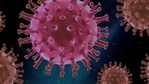 The isolates or viral samples were recovered from nasal secretions of consenting Covid-19 positive individuals.(Pixabay | Representational image) The isolates or viral samples were recovered from nasal secretions of consenting Covid-19 positive individuals.(Pixabay | Representational image)