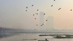 Open burning and abandoned old vehicles have also become a prominent source of pollution in east Delhi. Open burning and abandoned old vehicles have also become a prominent source of pollution in east Delhi.