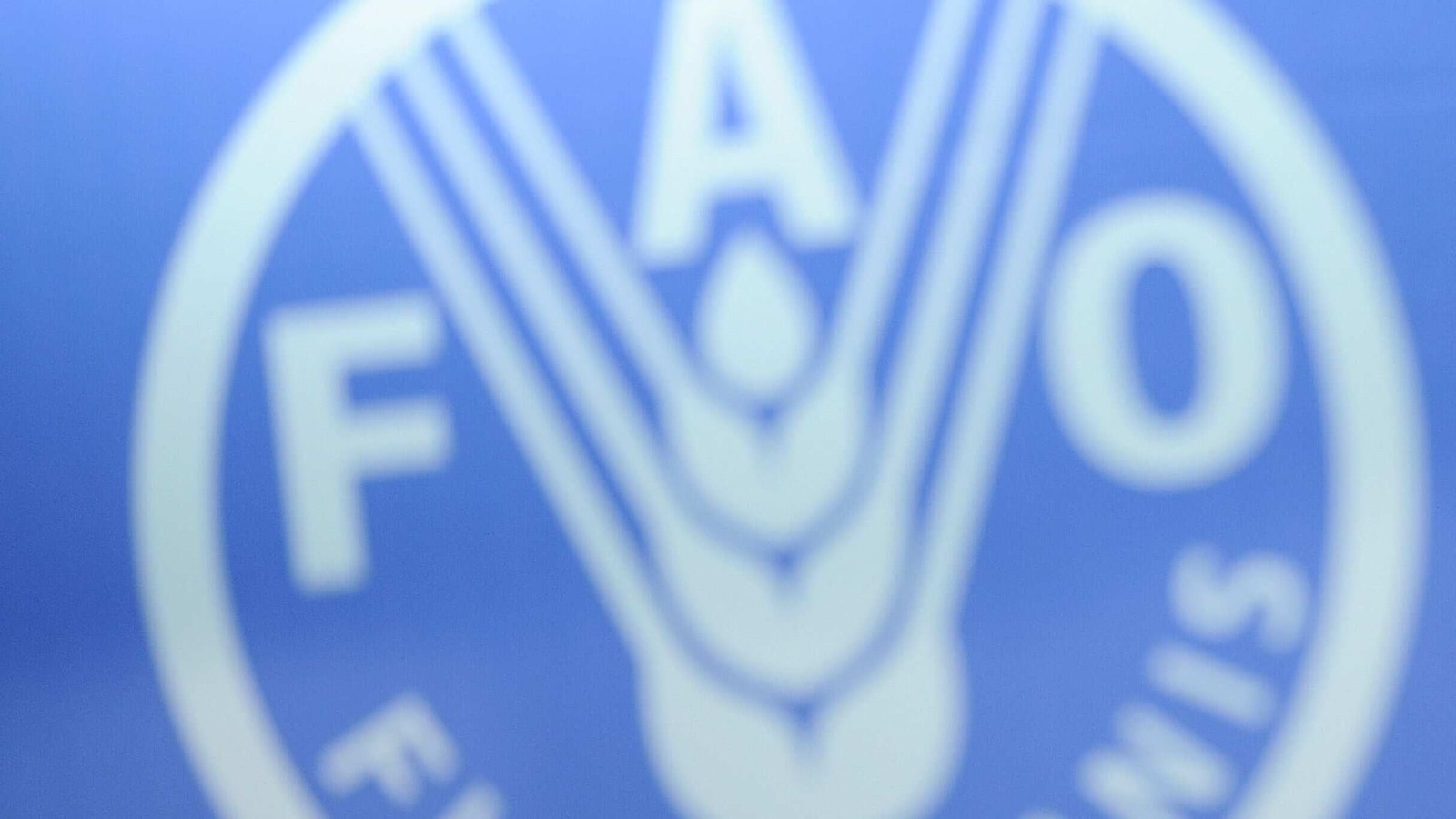 World food price index rises in February for ninth month running: FAO