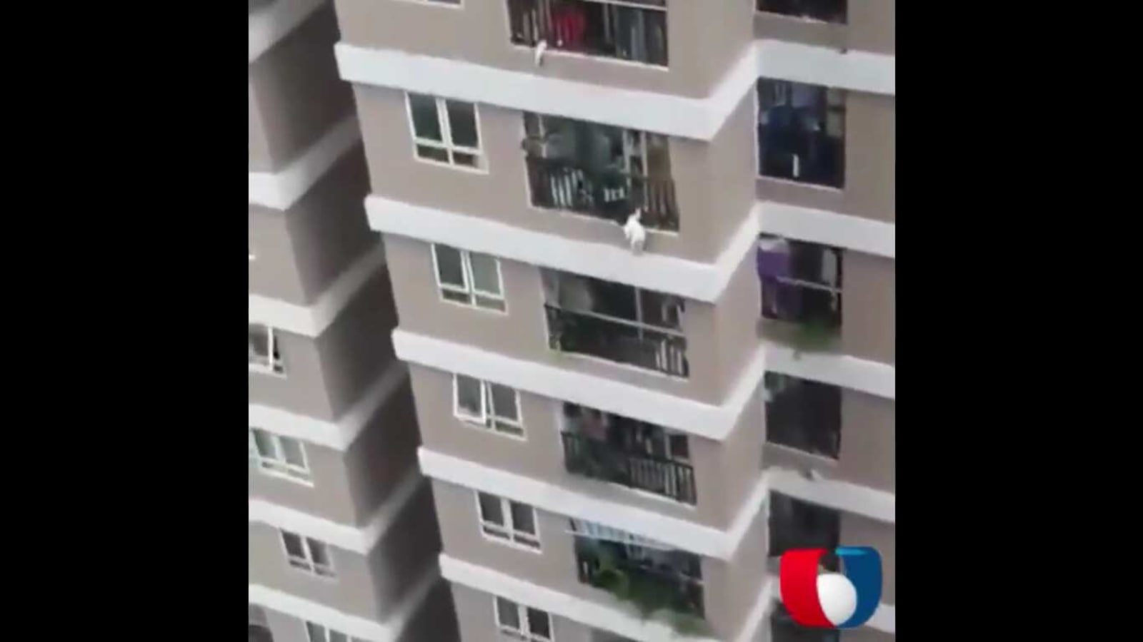 Delivery driver catches kid who fell from 12th floor of building, hailed as hero Trending