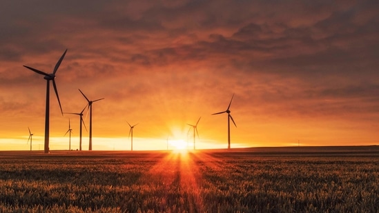 Addressing the World Sustainable Development Summit on Wednesday, Jaishankar said India currently had the fastest-growing solar energy programme in the world.(Unsplash) Addressing the World Sustainable Development Summit on Wednesday, Jaishankar said India currently had the fastest-growing solar energy programme in the world.(Unsplash)