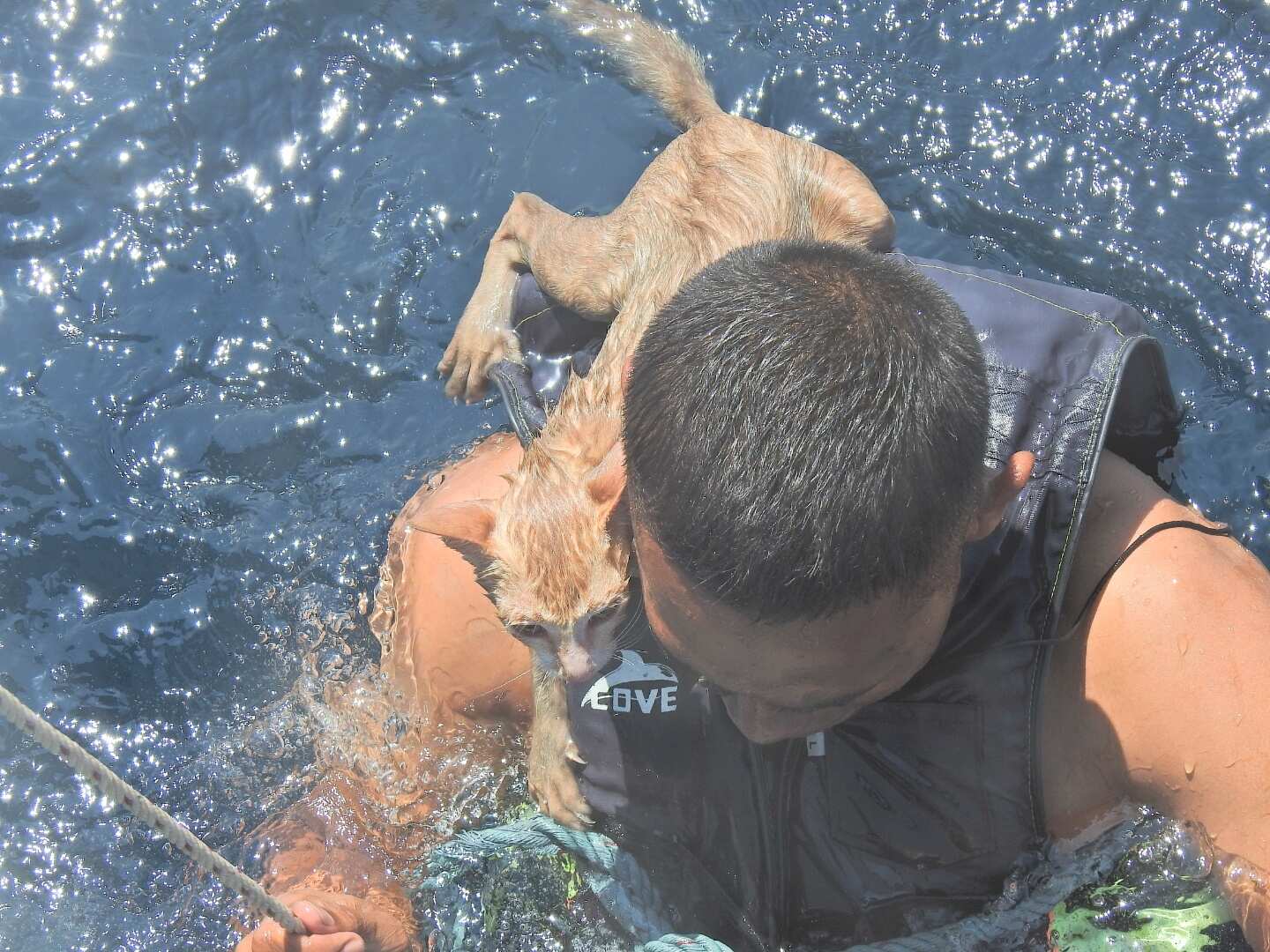 The officer swims with a cat on his back. (REUTERS)