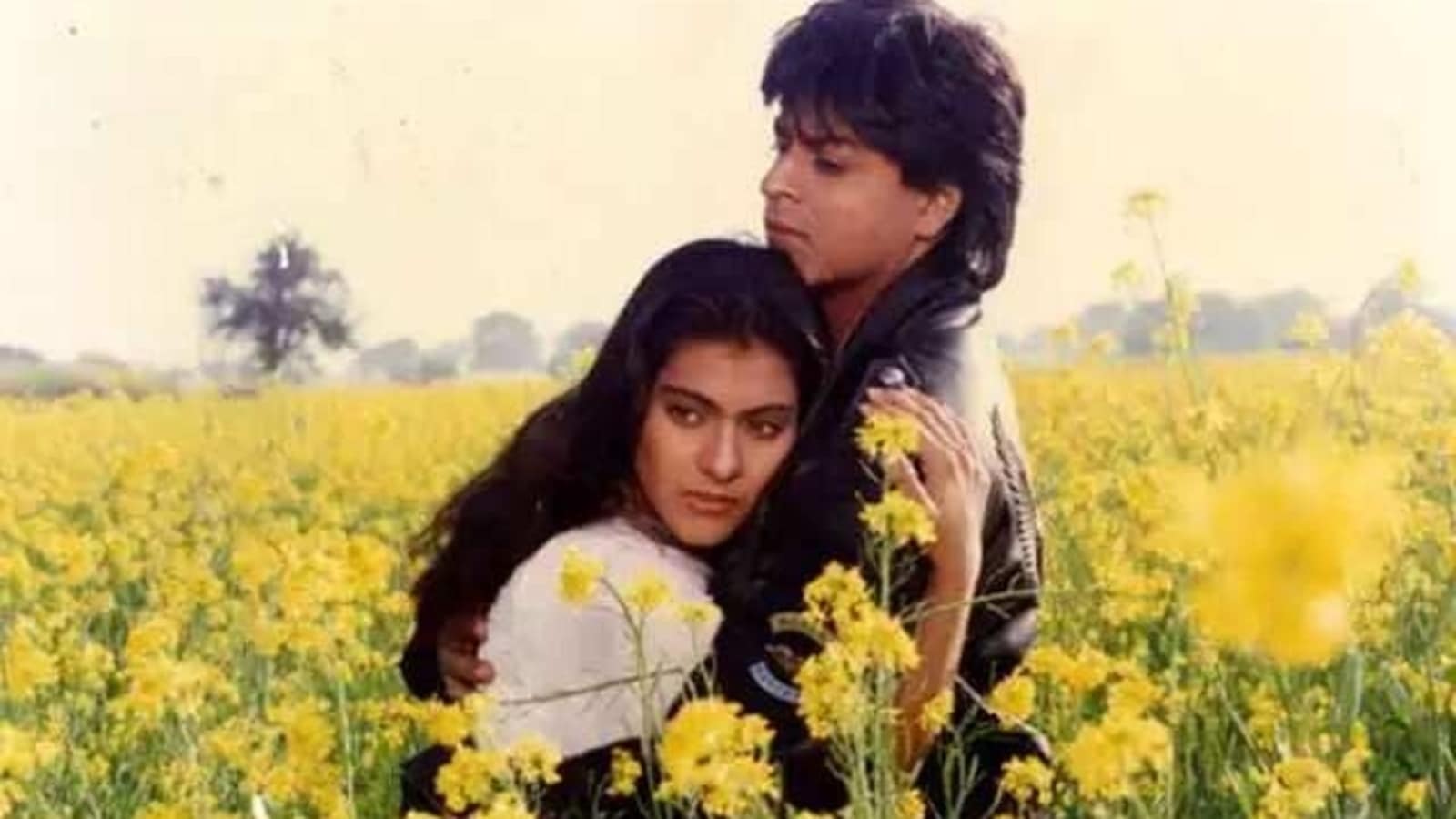 dilwale dulhania le jayenge field