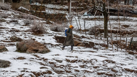 Fresh snowfall and rains are predicted in Jammu and Kashmir later this week. (AP) Fresh snowfall and rains are predicted in Jammu and Kashmir later this week. (AP)