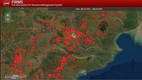 Satellite image of NASA's Fire Information for Resource Management System of forest fires.(Courtesy- NASA)
