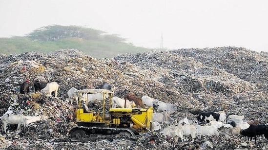 The official, on condition of anonymity, added that municipalities need four pits at Asola Bhatti, which are around 30 metres deep, to dump their waste.(HTFile) The official, on condition of anonymity, added that municipalities need four pits at Asola Bhatti, which are around 30 metres deep, to dump their waste.(HTFile)