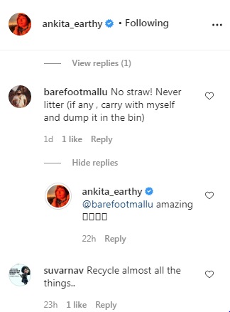 Comments on the post (Instagram/ankita_earthy)