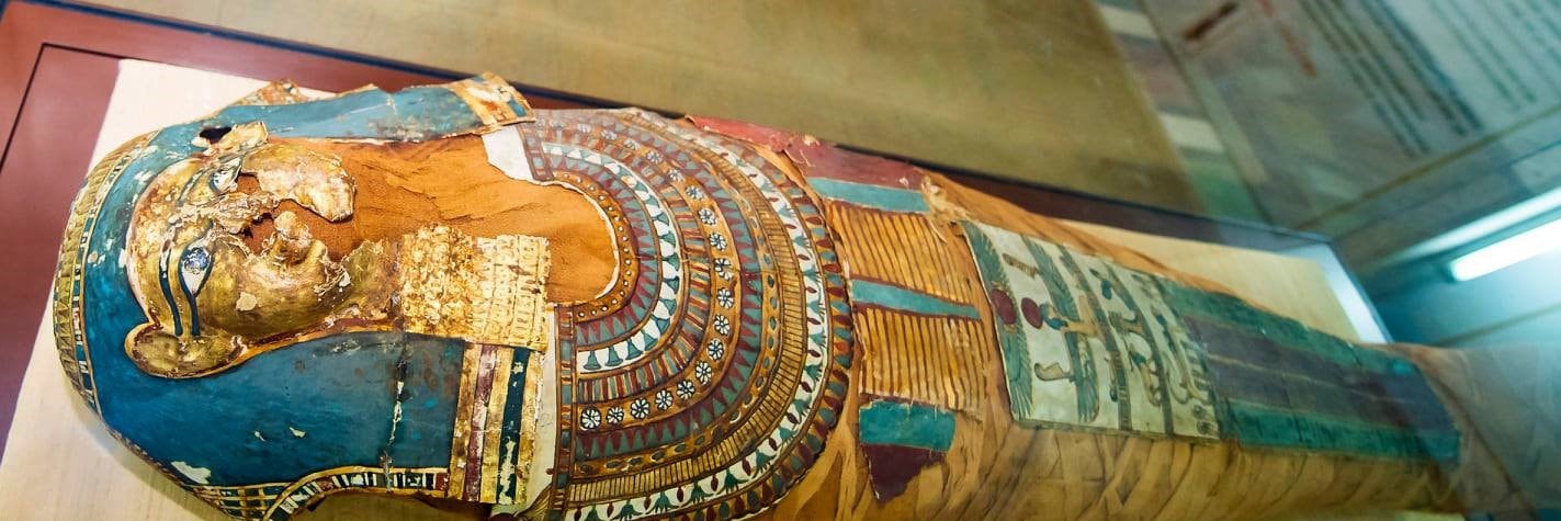 The 1.40-metre-long mummy, believed to be that of Nasihu, the daughter of the Sixth Pharaoh of Egypt of 2500 BC, has been on display at the state museum since 1930. (HT Photo) The 1.40-metre-long mummy, believed to be that of Nasihu, the daughter of the Sixth Pharaoh of Egypt of 2500 BC, has been on display at the state museum since 1930. (HT Photo)