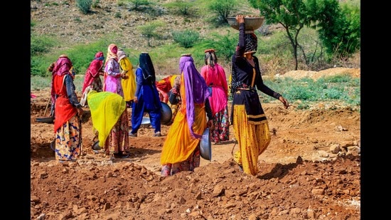 Women labourers work at a site under the Mahatma Gandhi National Rural Employment Guarantee Act, Ajmer, 2020 (PTI)