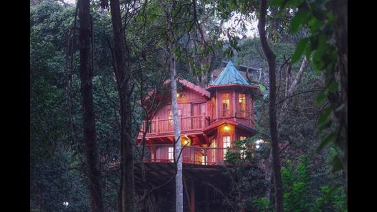Demand is growing for tree-houses and boathouses as people seek to isolate better while on holiday, says Airbnb.