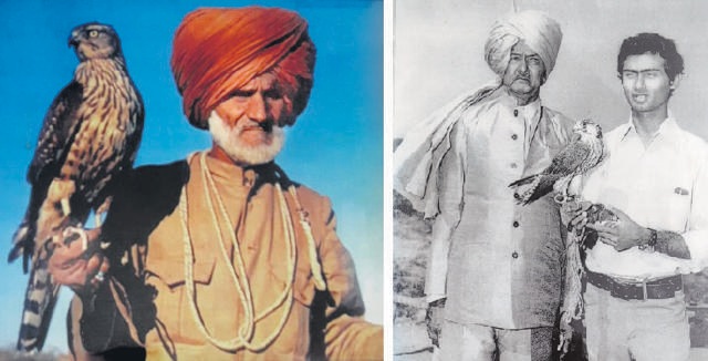Baazdar Makekhan with a goshawk and (right) Gulam Hussain with Sarfazuddin Malik holding a Peregrine falcon. (PHOTOS: FRANK & JOHN CRAIGHEAD / ROYAL STUDIO) Baazdar Makekhan with a goshawk and (right) Gulam Hussain with Sarfazuddin Malik holding a Peregrine falcon. (PHOTOS: FRANK & JOHN CRAIGHEAD / ROYAL STUDIO)
