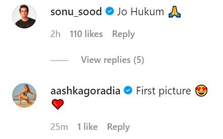 Comments posted by Sonu Sood and Aashka Goradia on Smriti Irani's Instagram post.