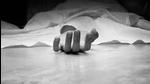 In February, a farmer from Jind had also hung himself from a tree, two kilometres from the protest site in Tikri. (Representative Photo/File) In February, a farmer from Jind had also hung himself from a tree, two kilometres from the protest site in Tikri. (Representative Photo/File)
