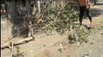 A branch of a huge cluster tree fell on the biker. A branch of a huge cluster tree fell on the biker.