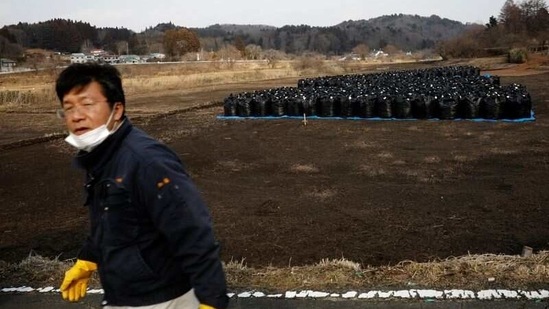 Sakae Kato walks past black bags containing contaminated soil from the fallout of the Fukushima nuclear plant, in a restricted zone in Namie on February 21. On February 25, Kato was arrested on suspicion of freeing wild boar caught in traps set up by Japan's government in November, Reuters reported.(Kim Kyung-Hoon / REUTERS)
