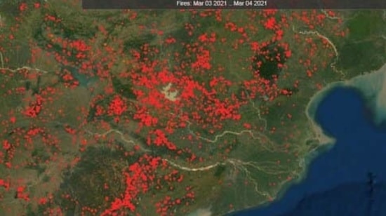 Satellite image of NASA's Fire Information for Resource Management System of forest fires.(Courtesy- NASA) Satellite image of NASA's Fire Information for Resource Management System of forest fires.(Courtesy- NASA)