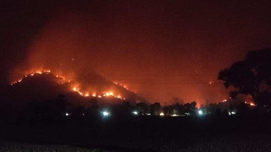 Odisha saw around 7,000 new fire points in the last 24 hours.(HT photo)