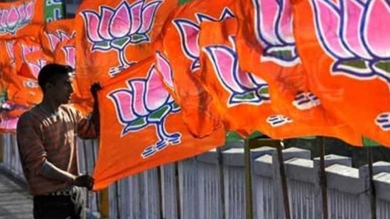 A Bharatiya Janta Party worker erecting BJP flags, in Jammu.(Nitin Kanotra/Hindustan Times) A Bharatiya Janta Party worker erecting BJP flags, in Jammu.(Nitin Kanotra/Hindustan Times)