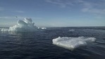 Floating ice is seen during the expedition of the The Greenpeace's Arctic Sunrise ship at the Arctic Ocean,(Reuters)