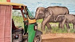 No, you aren’t reading Rudyard Kipling’s The Jungle Book. This is the real world, right in the heart of Gurugram, overlooking the national highway. No, you aren’t reading Rudyard Kipling’s The Jungle Book. This is the real world, right in the heart of Gurugram, overlooking the national highway.