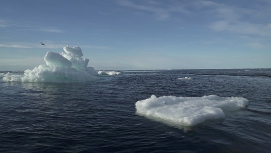 Floating ice is seen during the expedition of the The Greenpeace's Arctic Sunrise ship at the Arctic Ocean,(Reuters)