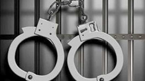 The sub inspector was arrested on Sunday after an intervention by senior police officers. (Shutterstock)