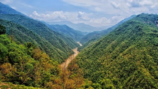 Chief Conservator of Forest (Research), Sanjiv Chaturvedi, said, ''It draws inspiration from Japanese technique of forest bathing (shinrin-yoku) and ancient Indian traditions and that basic theme is, be silent, go slow, think less and feel more."(Unsplash)