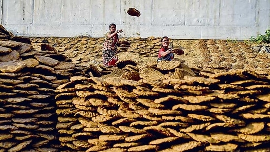 Women drying cow dung with Holi around the corner at Sangamwadi bridge.(Sanket Wankhade/HT PHOTO)